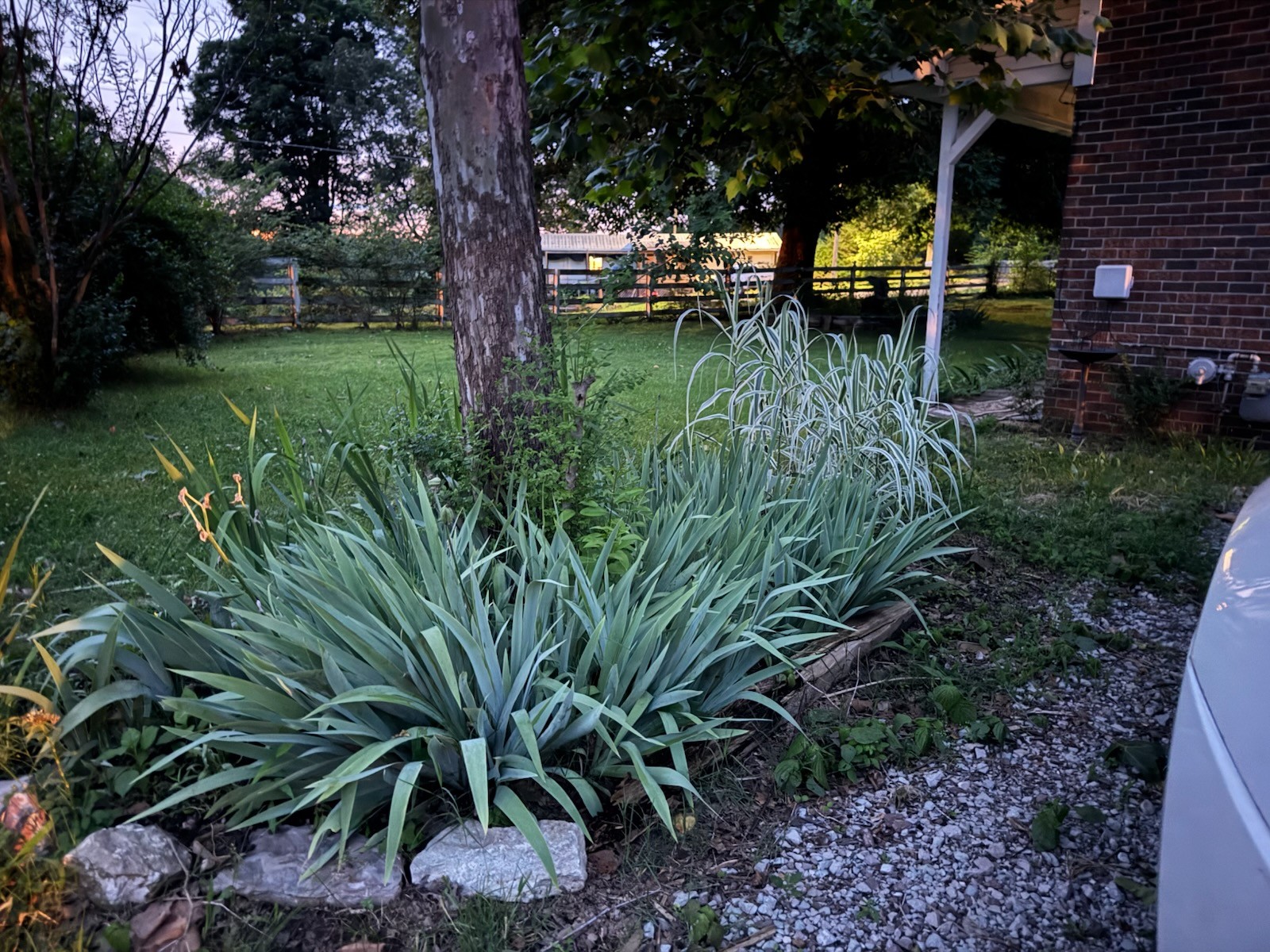 395 Hannis Road Bolivar, TN 38008 - Photo 18 of 24 a backyard of a house with lots of green space