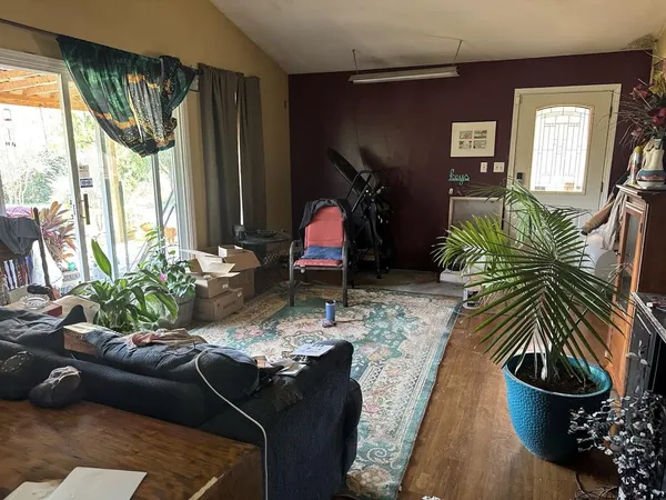 a living room with furniture and a potted plant