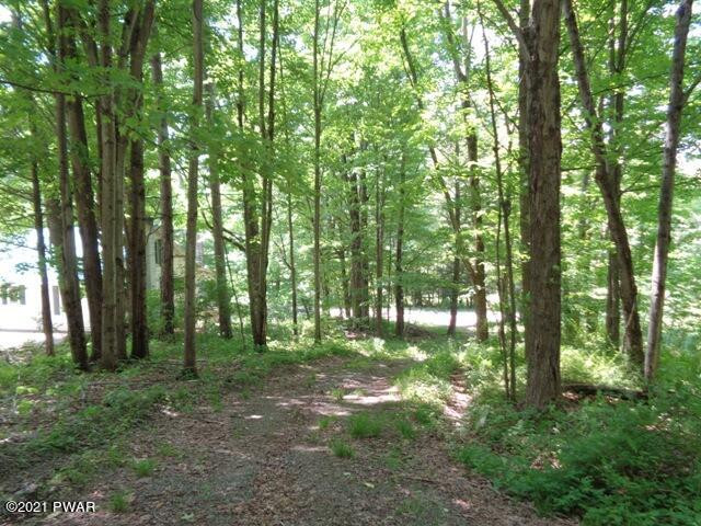 375 Mountain View Road Newfoundland, PA 18445 - Photo 9 of 28 Alternate driveway