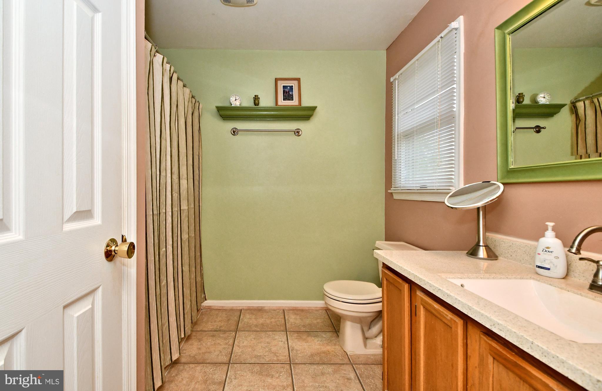 71 Ridge Run Road Sellersville, PA 18960 - Photo 21 of 40 Main BR Ensuite