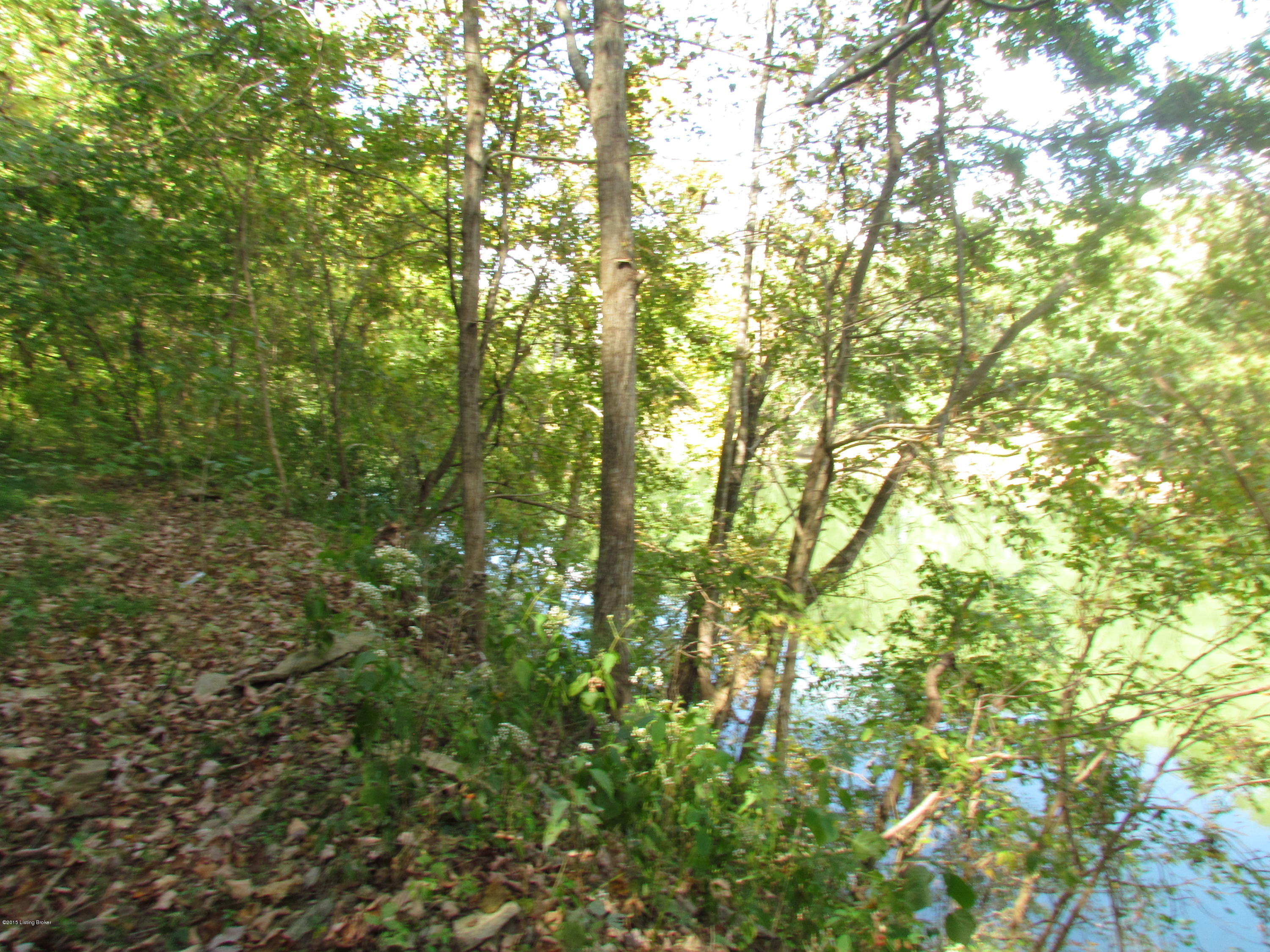 0 Lockport- Fallis Road Lockport, KY 40036 - Photo 17 of 28 OVERLOOKING THE KENTUCKY RIVER