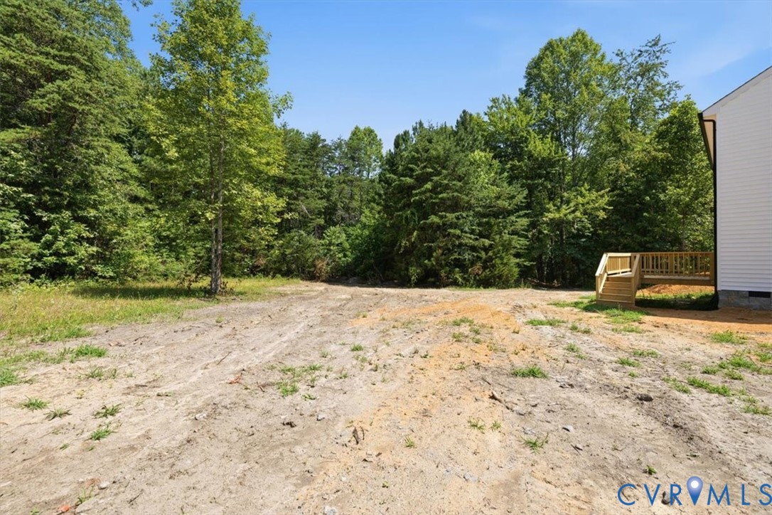 654 Frenchs Store Road Cumberland, VA 23040 - Photo 20 of 24 Expansive undeveloped lot with natural tree line