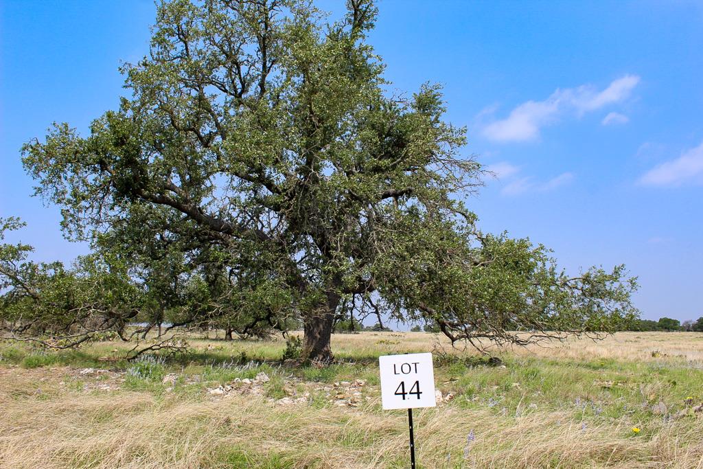 198 Lipan Loop Harper, TX 78631 - Photo 1 of 1 Main View