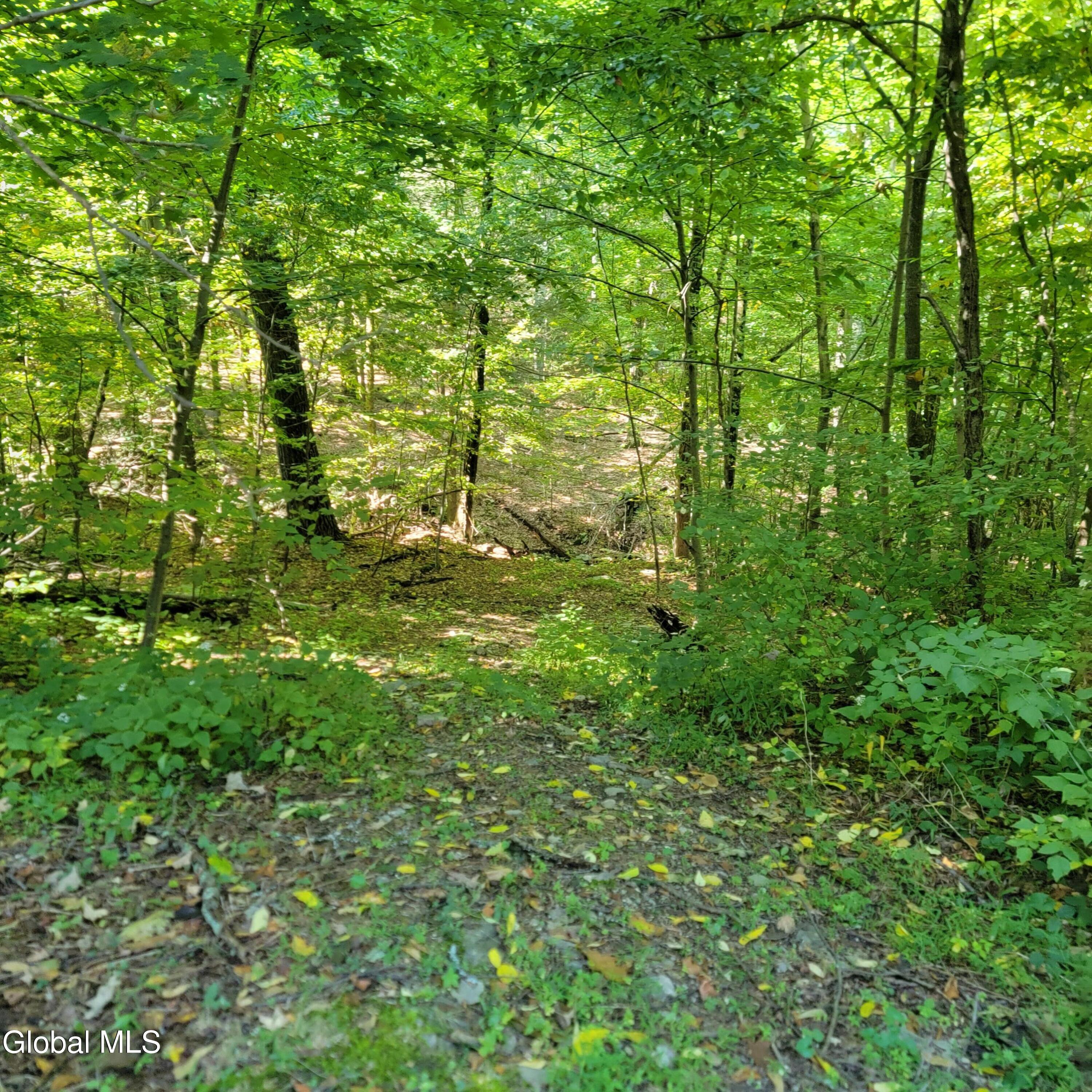 1711 County Rte 27 Taghkanic, NY 12521 - Photo 8 of 48 20260914_111136