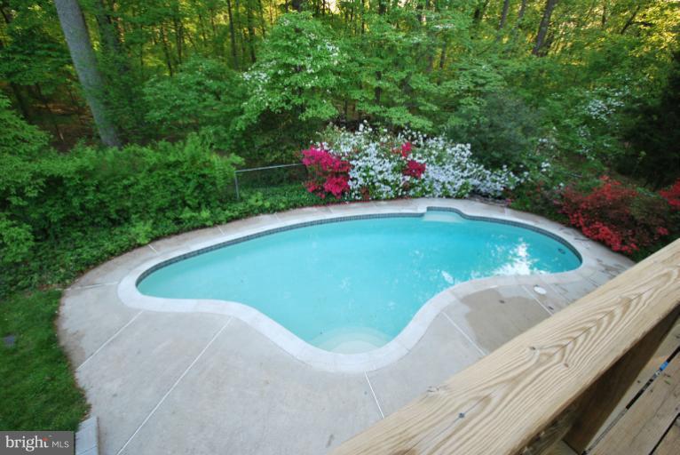 13628 Middlevale Lane Silver Spring, MD 20906 - Photo 10 of 25 a view of a swimming pool with a yard
