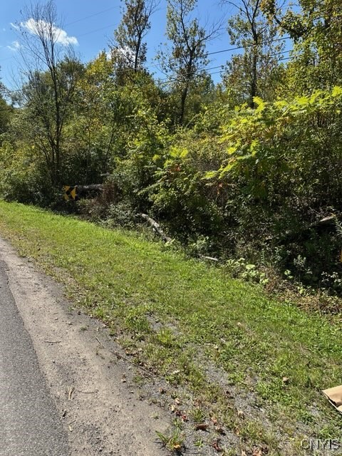 Clark Hollow Road La Fayette, NY 13084 - Photo 1 of 1