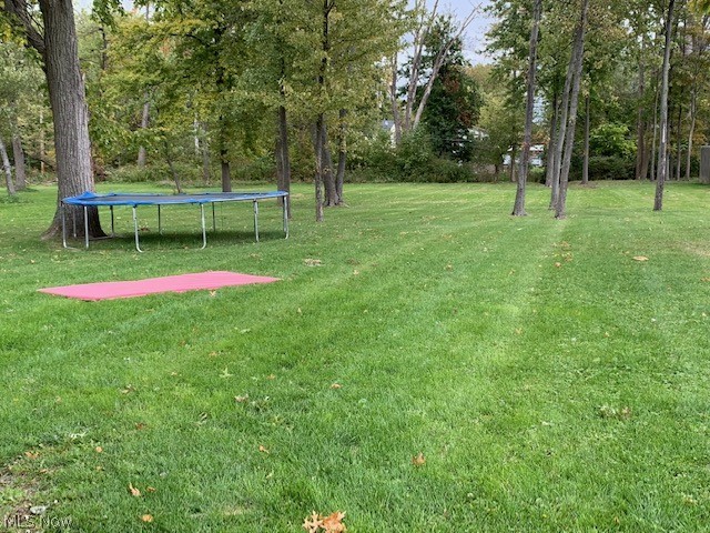 7319 Reynolds Road Mentor, OH 44060 - Photo 4 of 6 Big Deep back yard!