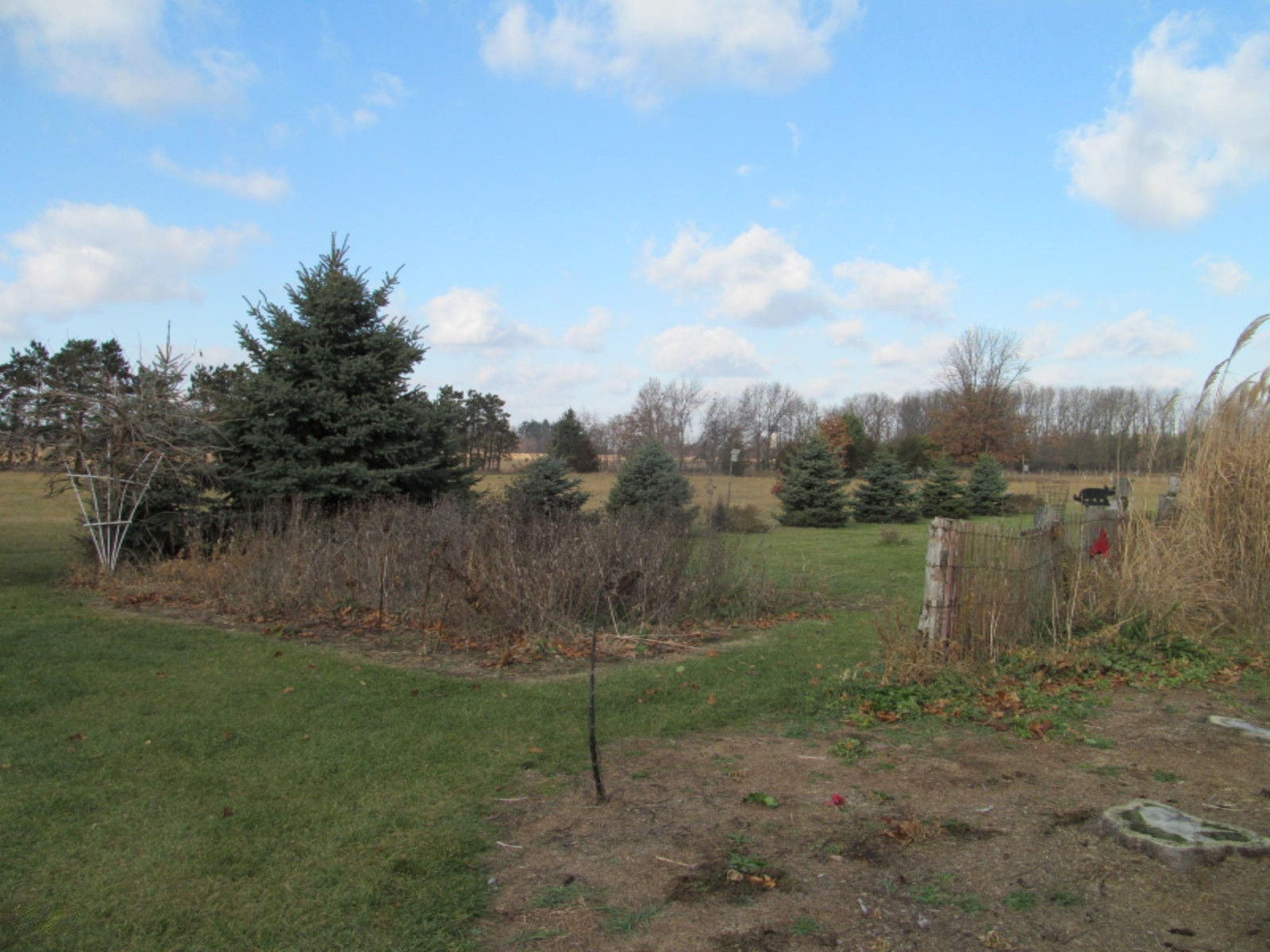 55882 Buckhorn Road Three Rivers, MI 49093 - Photo 25 of 30 55882 Buckhorn Rd Three Rivers MI 024