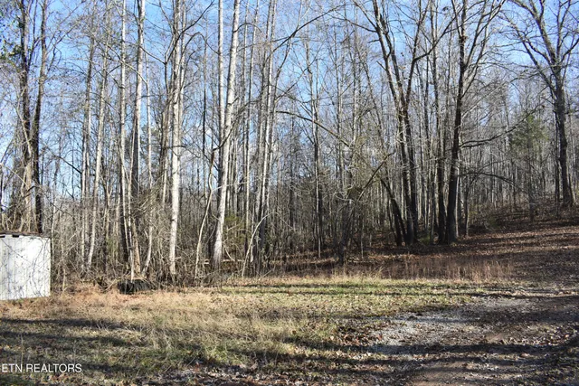 $74,869 | Lot 54 Bark Lane, Speedwell, TN 37870