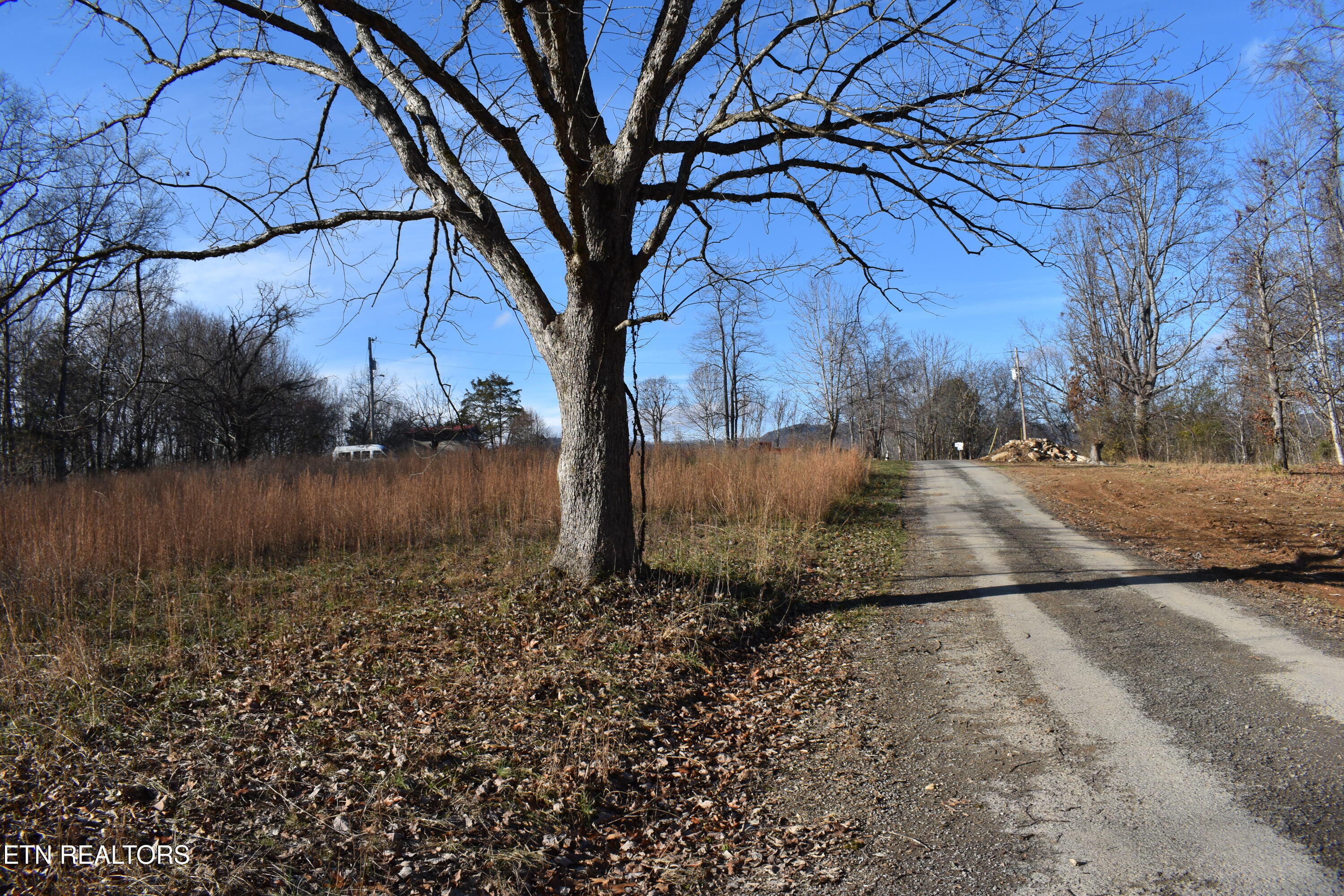 Lot 54 Bark Lane Speedwell, TN 37870 - Photo 3 of 8 3 ac l 2 lots left nw