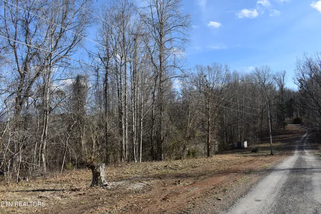 $74,869 | Lot 54 Bark Lane, Speedwell, TN 37870