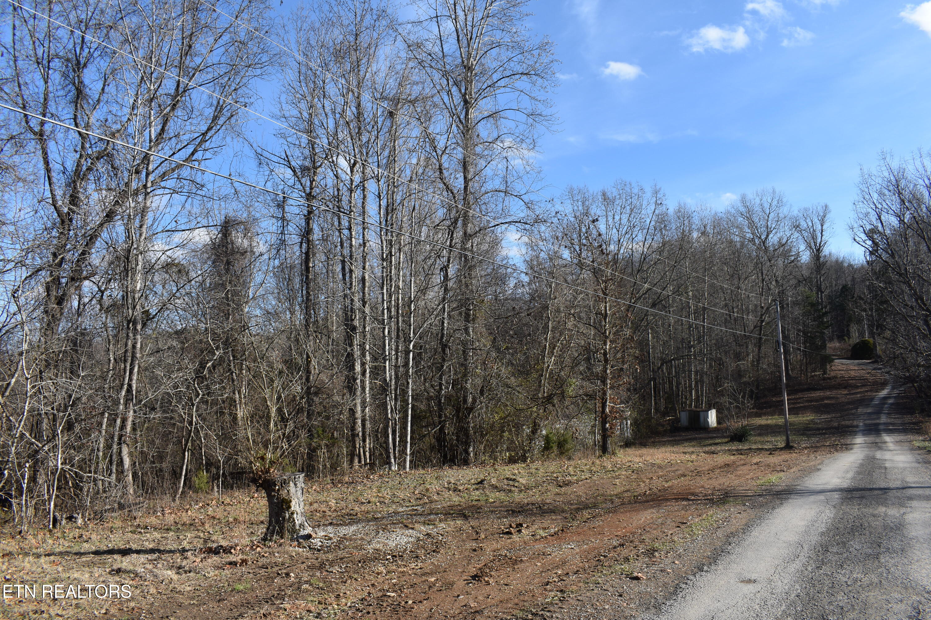 Lot 54 Bark Lane Speedwell, TN 37870 - Photo 6 of 8 street sc 3 ac