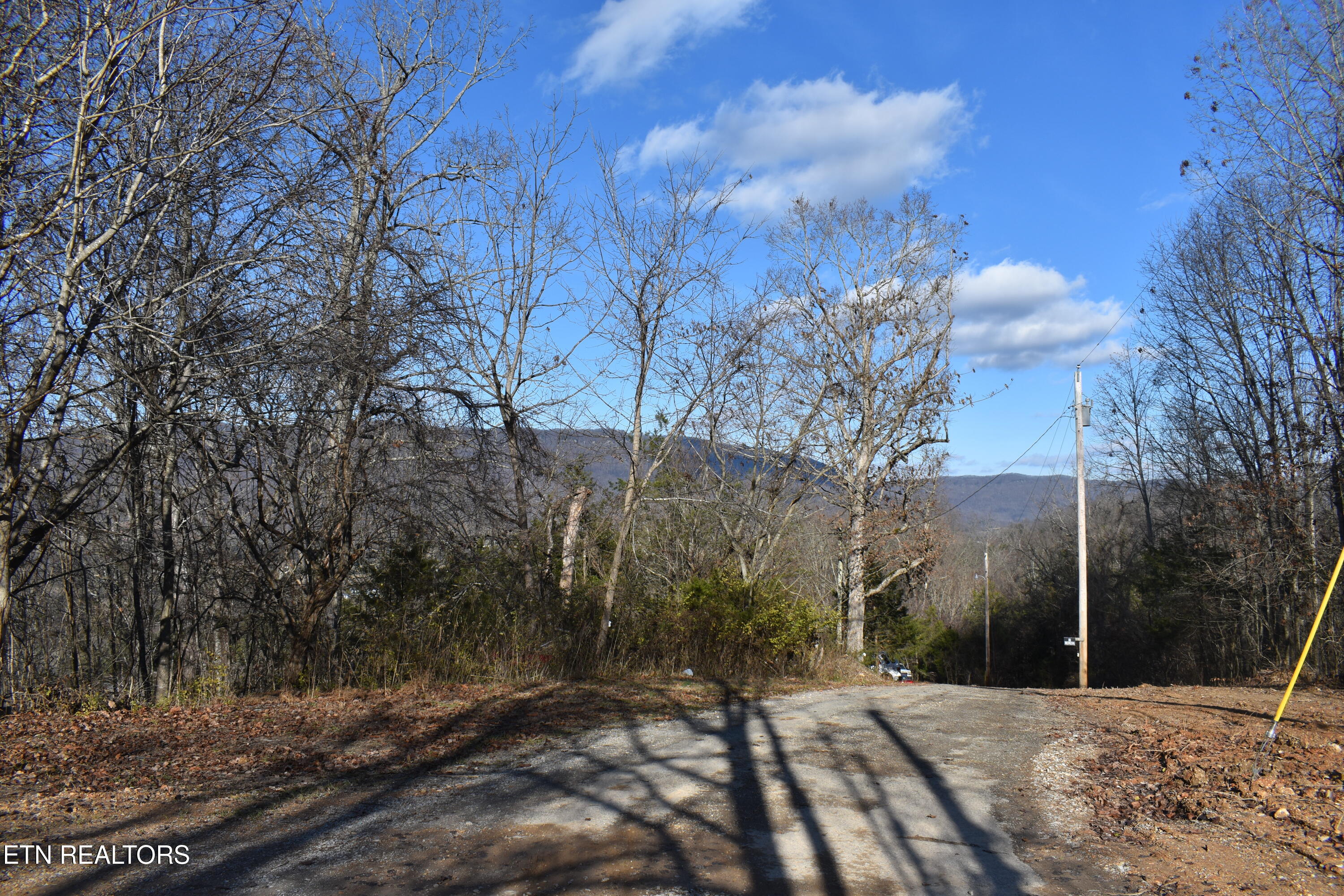 Lot 54 Bark Lane Speedwell, TN 37870 - Photo 7 of 8 street