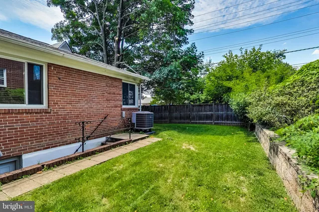 a view of backyard with a chair under a large tree