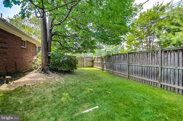 a view of a backyard with a trees and wooden fence