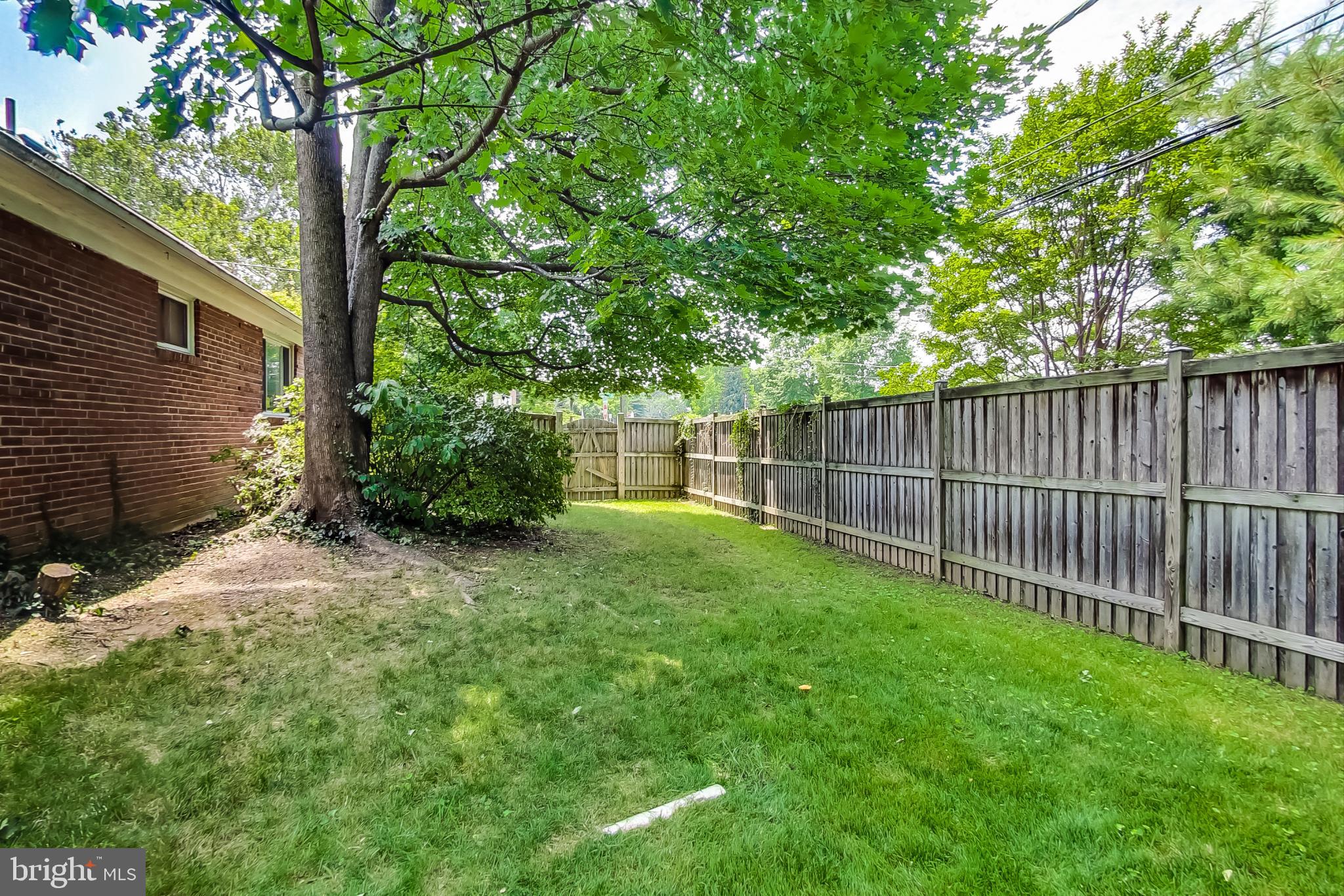 8617 Lynbrook Drive Bethesda, MD 20814 - Photo 43 of 48 a view of a backyard with a trees and wooden fence