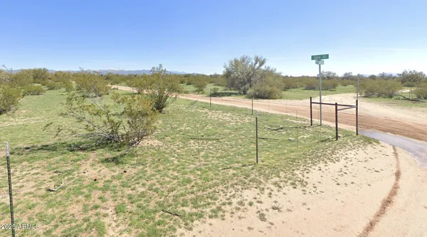 a view of a pathway both side of yard