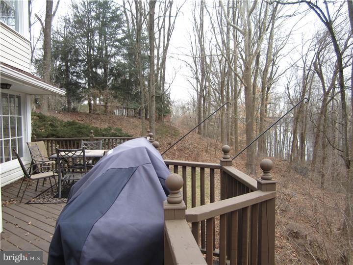 24 Springton Lake Road Media, PA 19063 - Photo 16 of 19 Deck