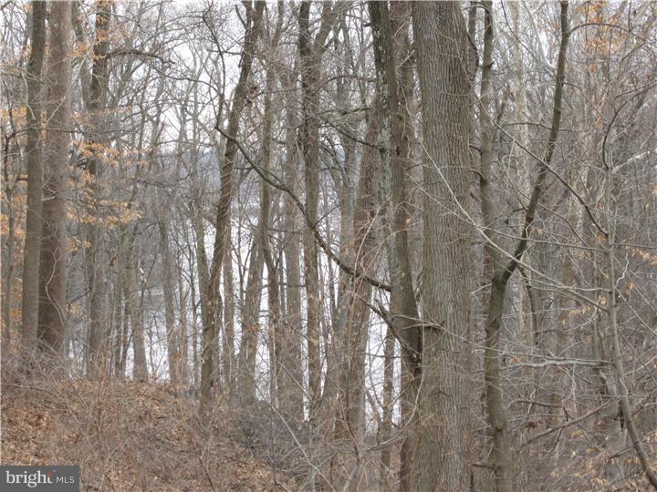 24 Springton Lake Road Media, PA 19063 - Photo 19 of 19 View in Back