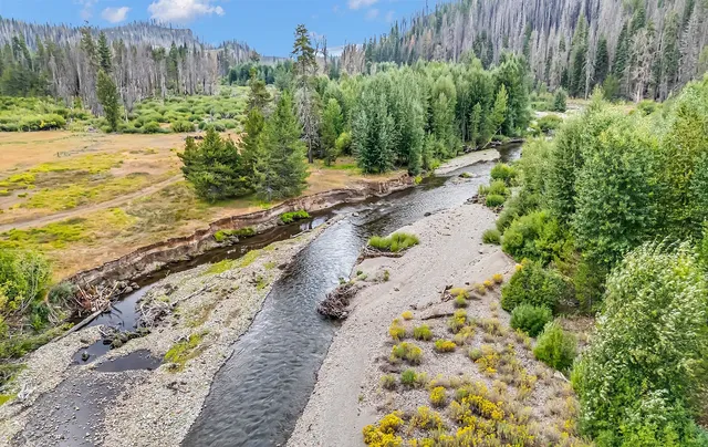 a view of a yard with plants