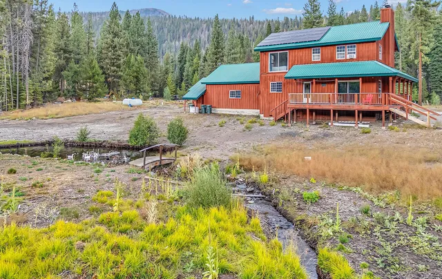 a view of a yard with trees