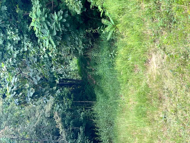 $52,500 | Tbd Tbd Tulip Poplar Trail Extension, Butler, TN 37640