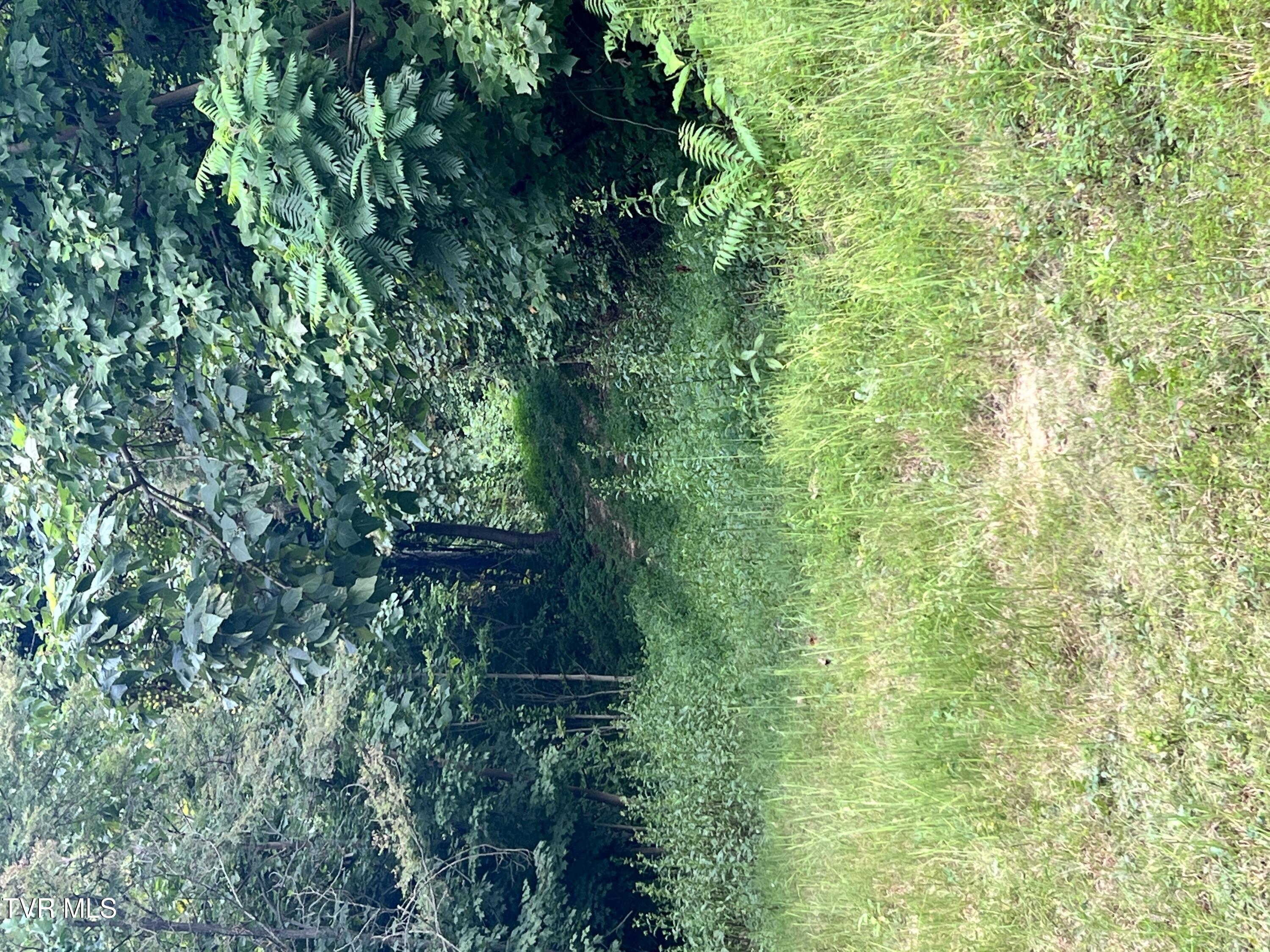 Tbd Tbd Tulip Poplar Trail Extension Butler, TN 37640 - Photo 12 of 13 IMG_0947