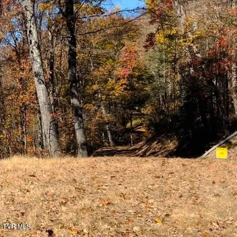 $52,500 | Tbd Tbd Tulip Poplar Trail Extension, Butler, TN 37640