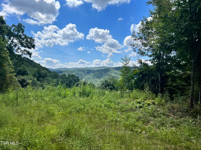 $52,500 | Tbd Tbd Tulip Poplar Trail Extension, Butler, TN 37640