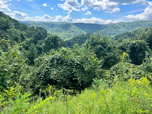 $52,500 | Tbd Tbd Tulip Poplar Trail Extension, Butler, TN 37640