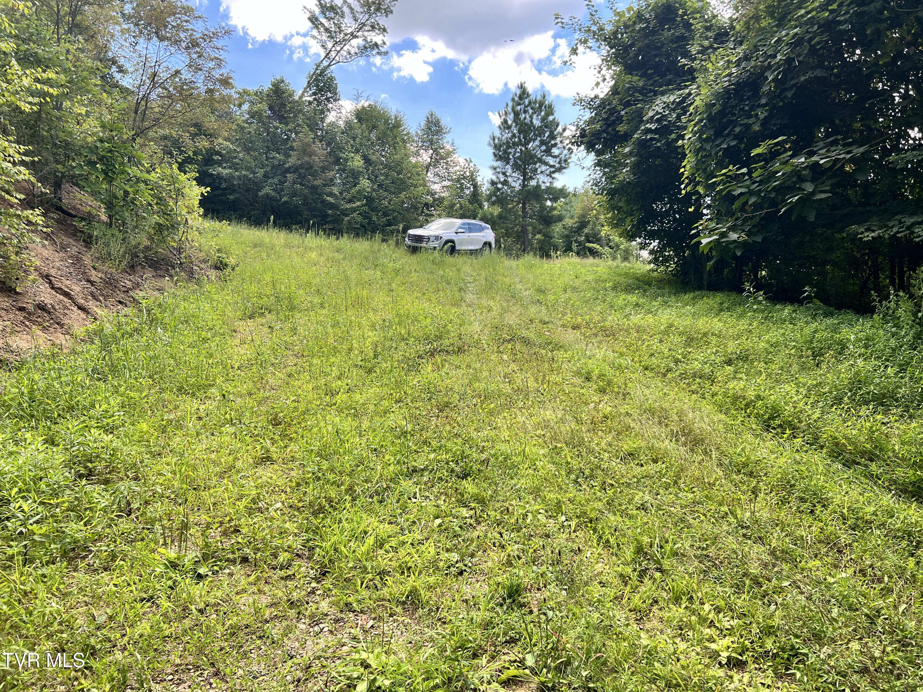 Tbd Tbd Tulip Poplar Trail Extension Butler, TN 37640 - Photo 7 of 13 IMG_0942