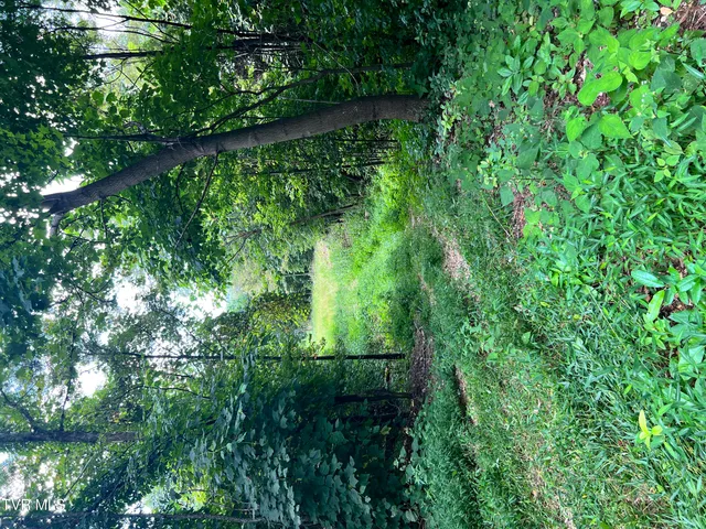 $52,500 | Tbd Tbd Tulip Poplar Trail Extension, Butler, TN 37640