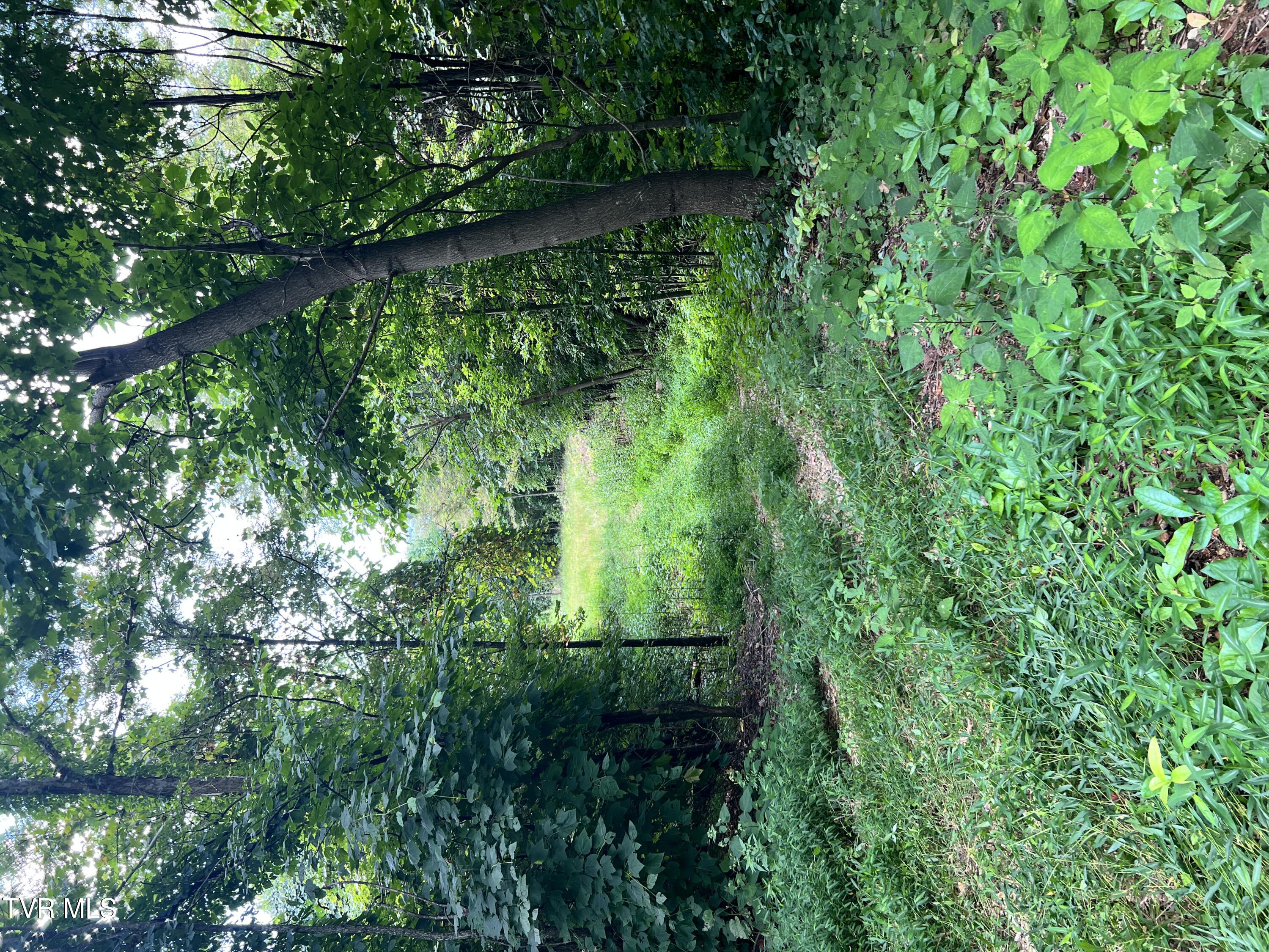Tbd Tbd Tulip Poplar Trail Extension Butler, TN 37640 - Photo 8 of 13 IMG_0943