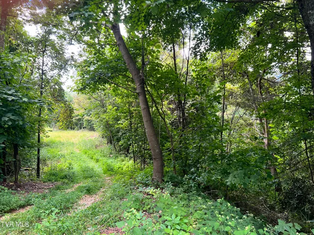 $52,500 | Tbd Tbd Tulip Poplar Trail Extension, Butler, TN 37640