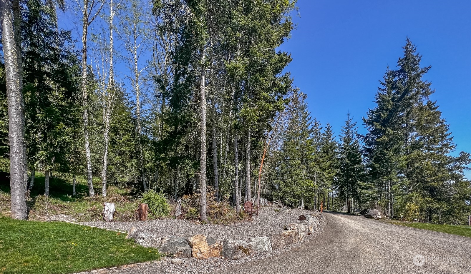 685 Misty Ridge Road Port Townsend, WA 98368 - Photo 11 of 39 a view of a yard with plants and trees