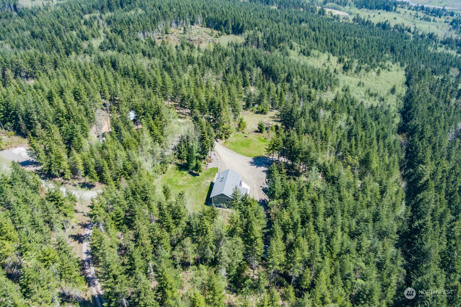 685 Misty Ridge Road Port Townsend, WA 98368 - Photo 5 of 39 a view of a lush green forest
