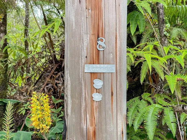 $53,625 | 11-3190-a Lot 89 Anuhea Street, Volcano, HI 96785
