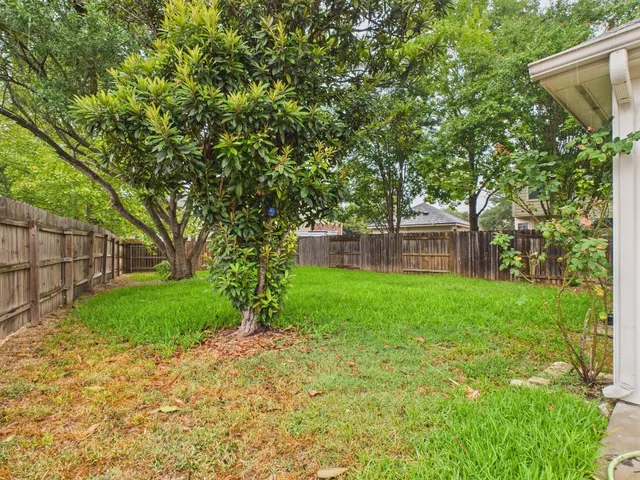 a view of a backyard with a tree