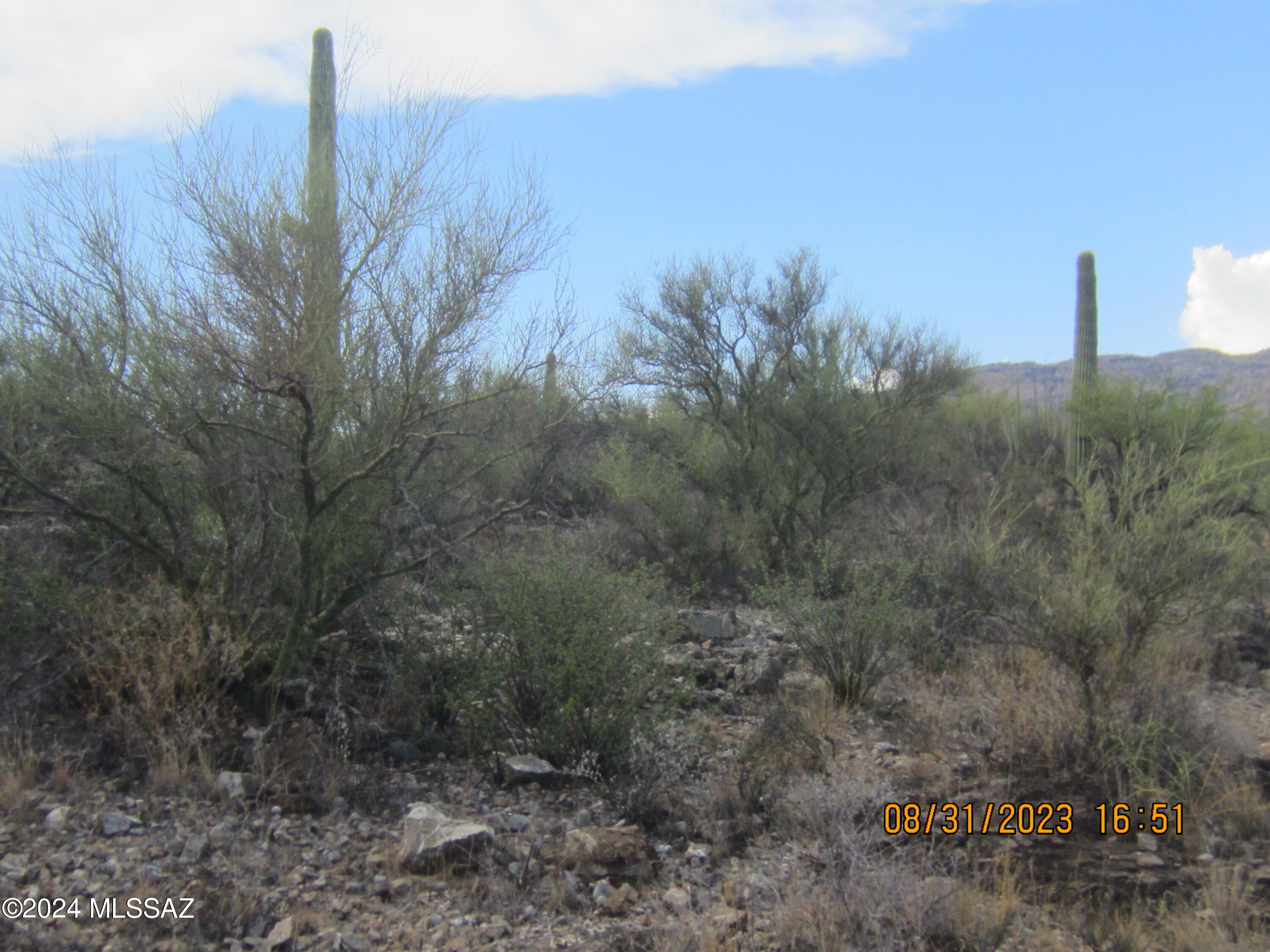 0 East Rincon Creek Ranch Road Tucson, AZ 85747 - Photo 40 of 46 Gallery Image 40