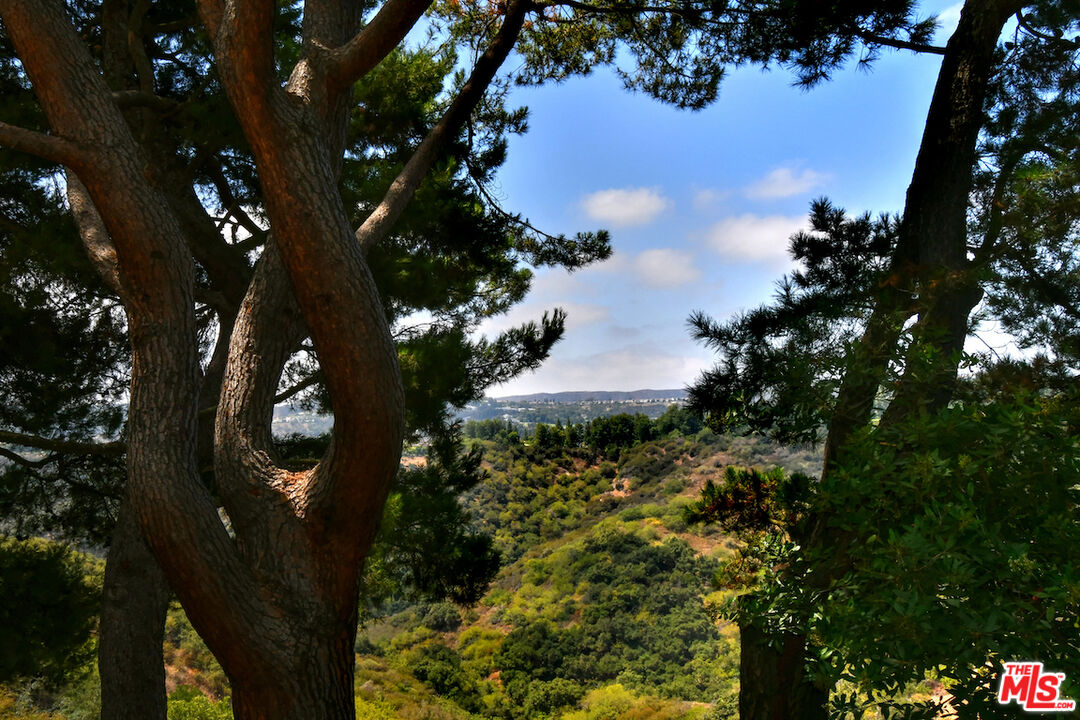 2345 Roscomare Road, Unit 205 Los Angeles, CA 90077 - Photo 45 of 50 a picture of tree