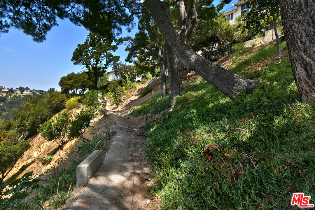 2345 Roscomare Road, Unit 205 Los Angeles, CA 90077 - Photo 47 of 50 a picture of tree