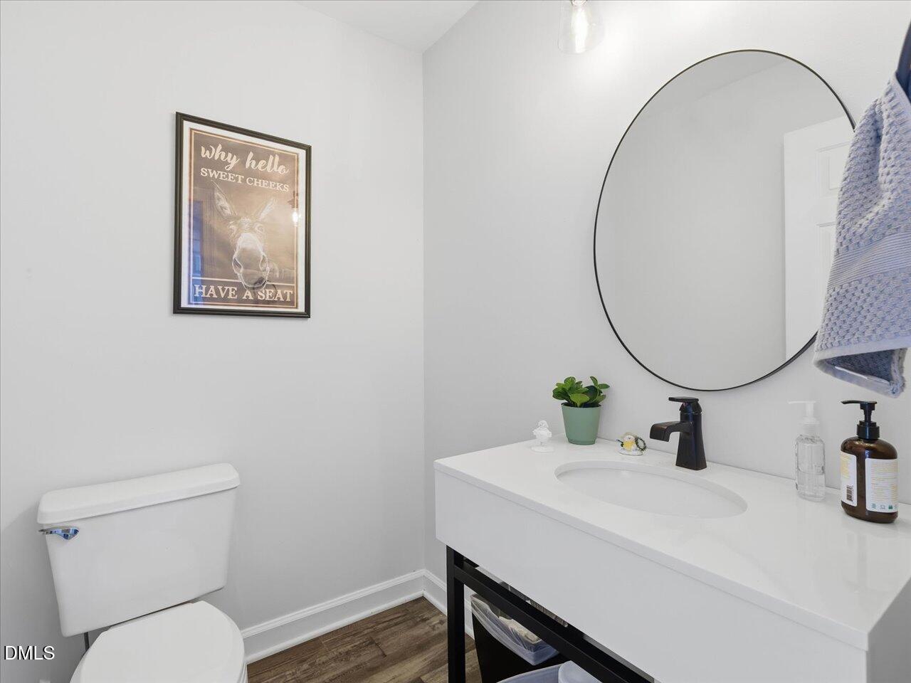 274 Powers Country Lane Bennett, NC 27208 - Photo 21 of 62 a bathroom with a toilet a sink and mirror