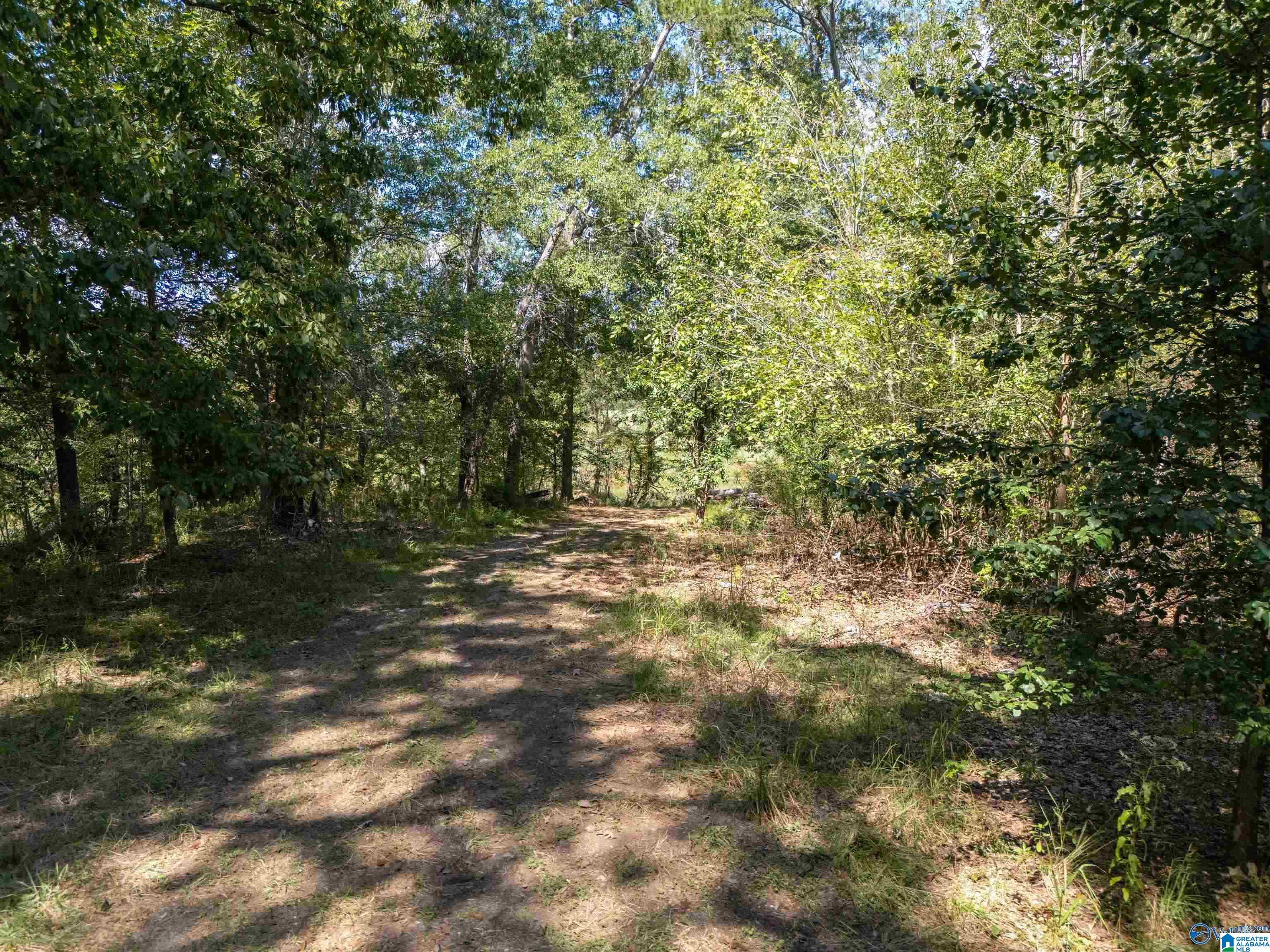7.4 Riverside Drive, Unit 8 Gadsden, AL 35901 - Photo 9 of 23