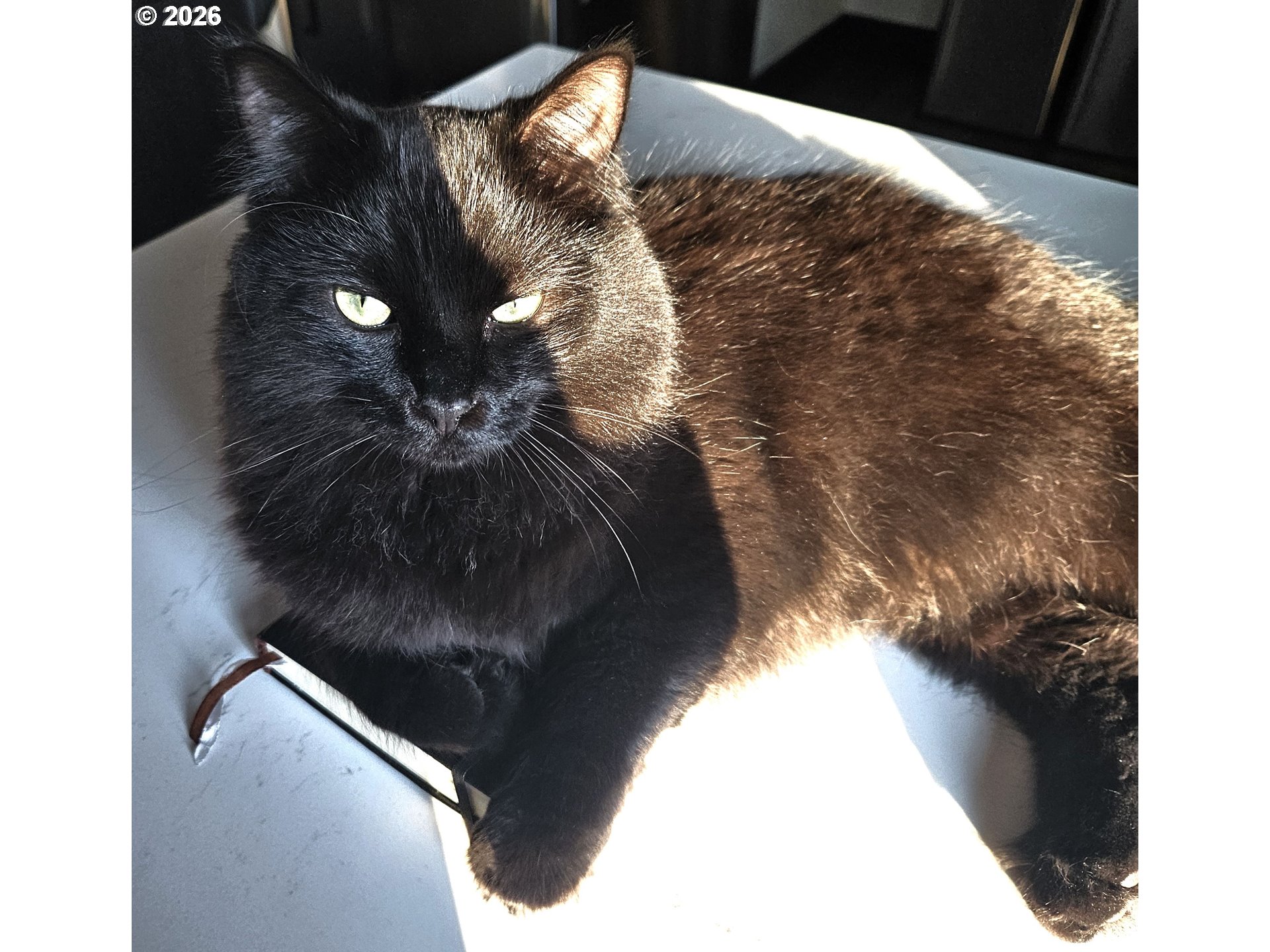 153 Southeast James Street Camas, WA 98607 - Photo 8 of 35