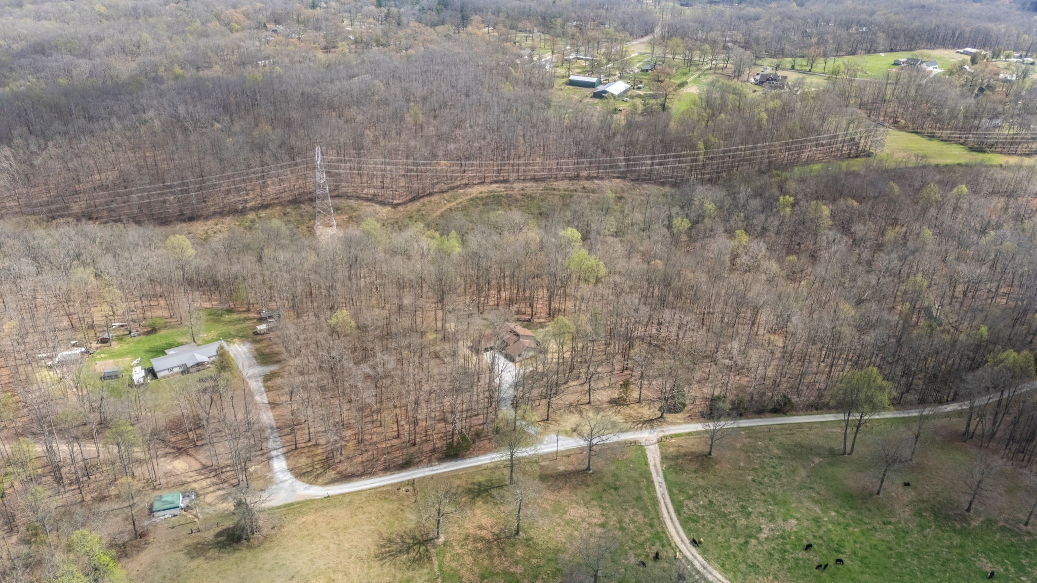 268 Davis Road Wartrace, TN 37183 - Photo 15 of 74 a bathroom with a shower
