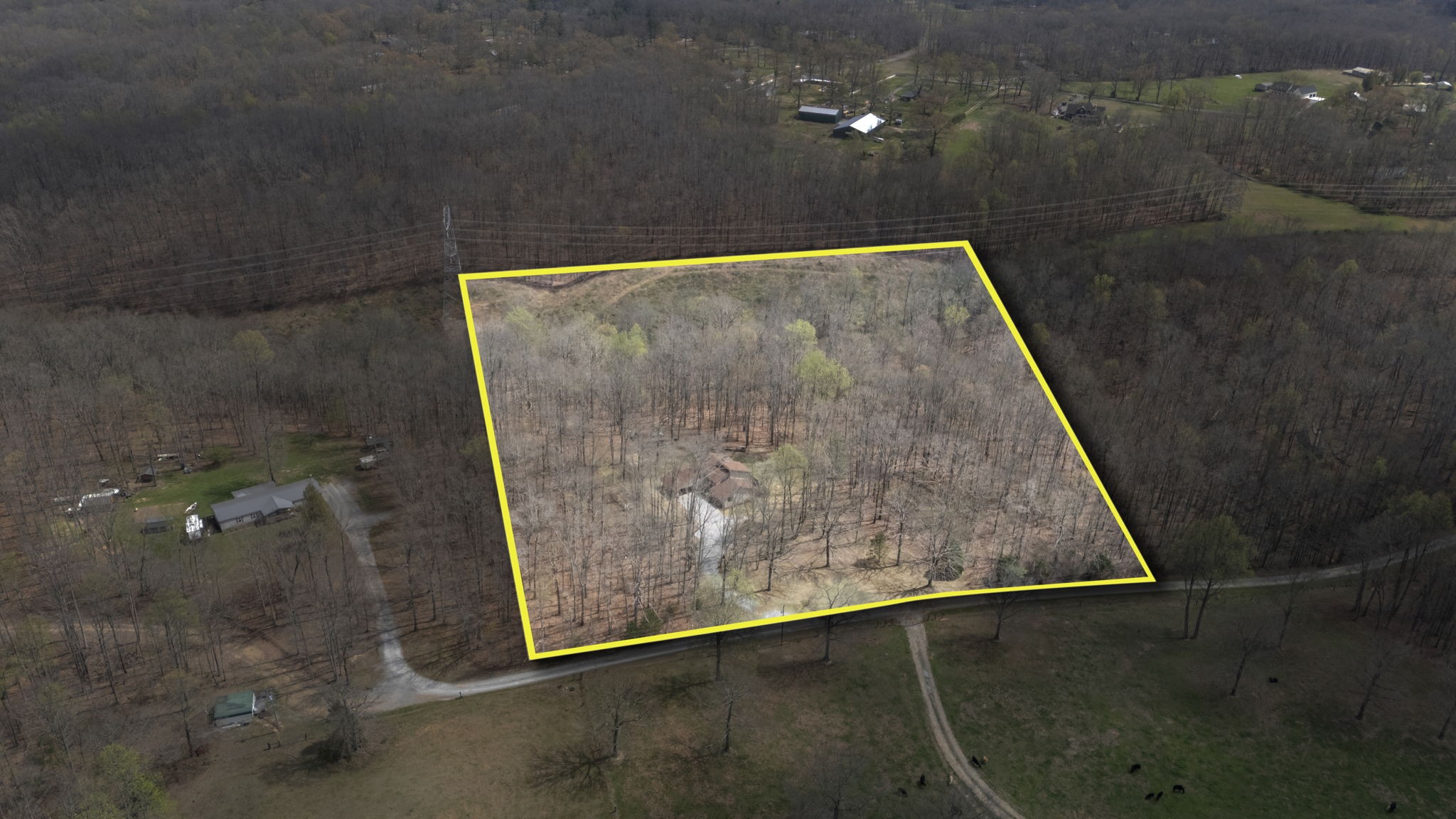 268 Davis Road Wartrace, TN 37183 - Photo 6 of 74