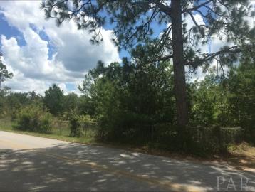 0 Blue Barnes Road Milton, FL 32583 - Photo 1 of 3 Gallery Image 1