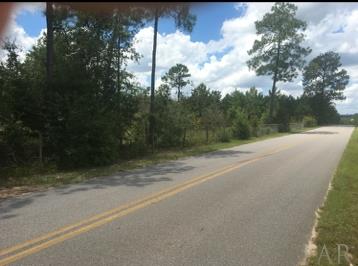 0 Blue Barnes Road Milton, FL 32583 - Photo 2 of 3 Gallery Image 2