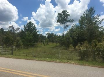 0 Blue Barnes Road Milton, FL 32583 - Photo 3 of 3 Gallery Image 3