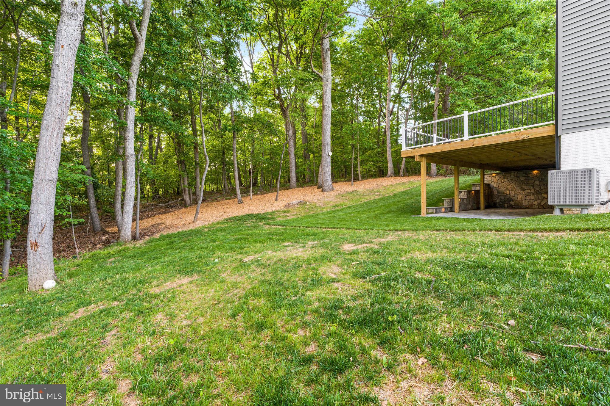 3908 Shakespeare Way Monrovia, MD 21770 - Photo 43 of 59 a view of a backyard with plants and large trees